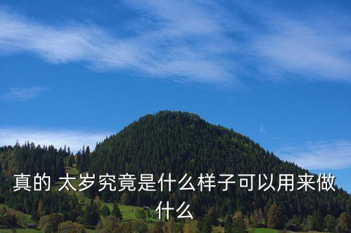 千年太歲,太歲又稱肉靈芝是自然界第四種生命形式