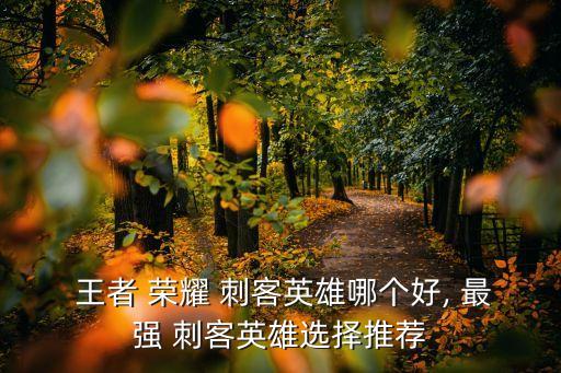 王者榮耀最強刺客,王者榮耀最強刺客公布出爐