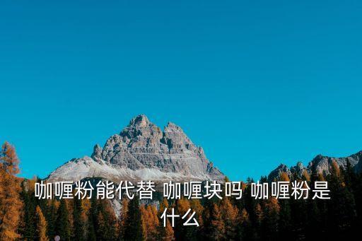  咖喱粉能代替 咖喱塊嗎 咖喱粉是什么