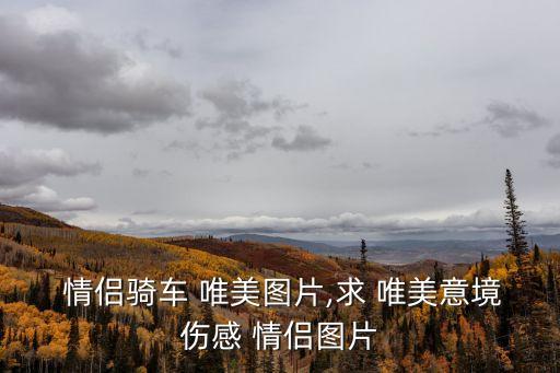 情侶圖片唯美,唯美圖像悲傷情侶圖片