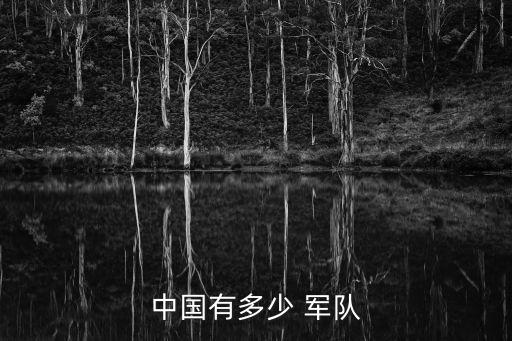 中國軍隊總數,中國正規軍雖230萬但已是世界第一軍隊