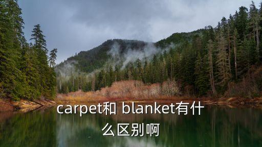 carpet和 blanket有什么區別啊