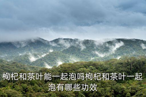 枸杞子茶,枸杞子泡茶的功效與作用