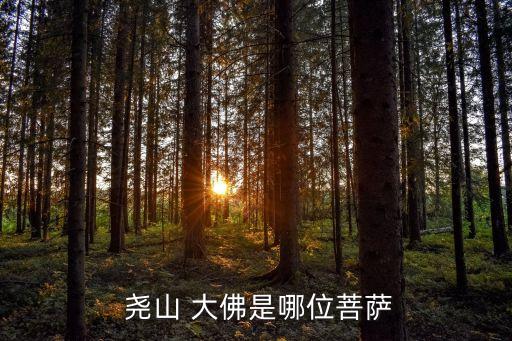 堯山大佛,中國平頂山堯山大佛旅游列為國家5a級風景區