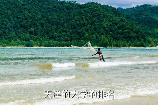天津大學排名，天津各大學的綜合實力的排名次序是