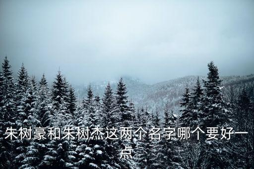朱樹豪，觀瀾湖集團 朱鼎建的老爸是誰