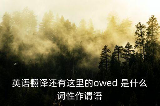 英語翻譯還有這里的owed 是什么詞性作謂語