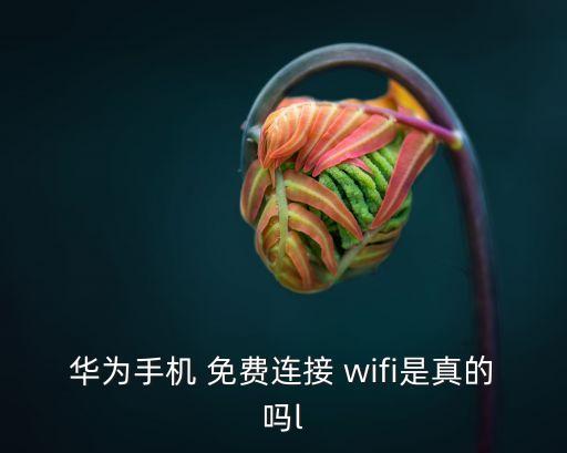 華為手機 免費連接 wifi是真的嗎l