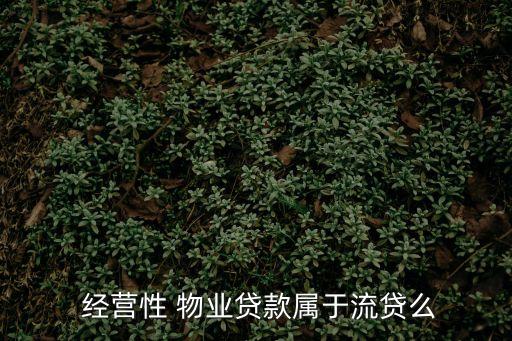 經營性物業,經營性物業抵押貸款發放以物業作為抵押物