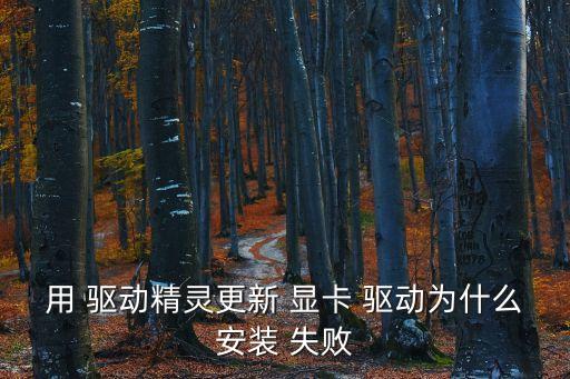 用 驅(qū)動精靈更新 顯卡 驅(qū)動為什么安裝 失敗