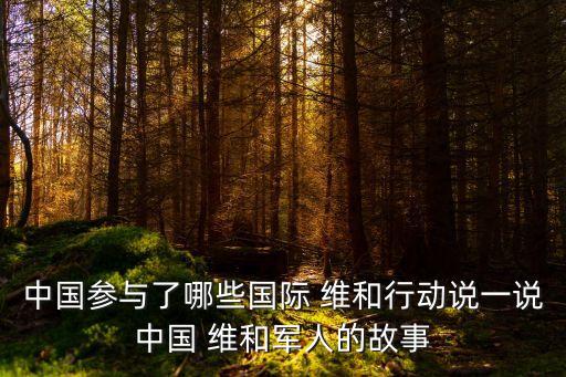 維和行動(dòng),聯(lián)合國(guó)維和行動(dòng):監(jiān)督中東停火和撤軍