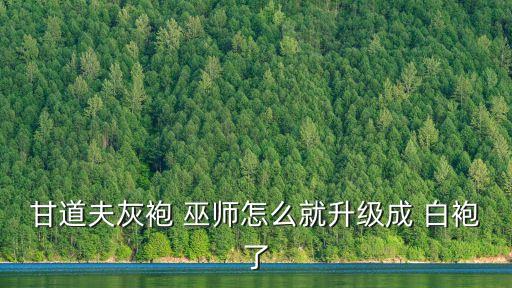 甘道夫灰袍 巫師怎么就升級成 白袍了