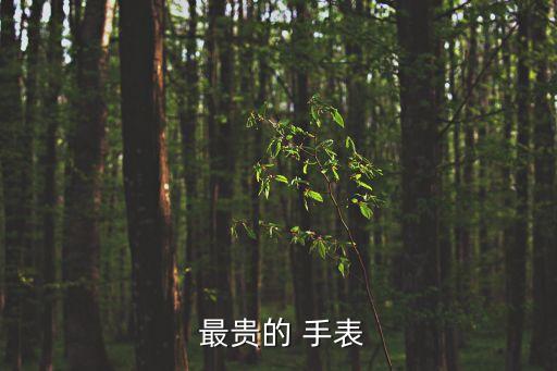最貴手表,世界最貴world手表拍賣成交價逾1100萬美元