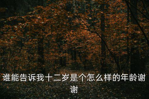 誰能告訴我十二歲是個怎么樣的年齡謝謝