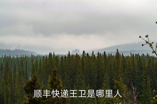 順豐王衛，順豐快遞王衛是哪里人