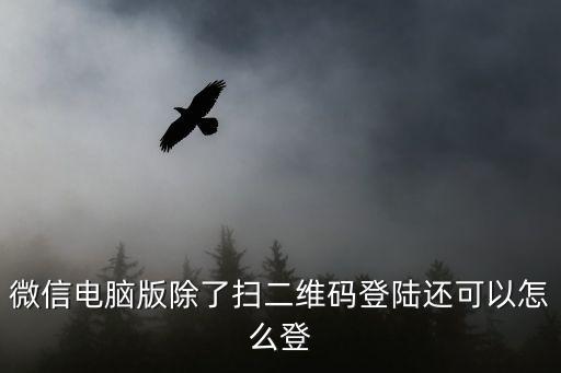 電腦登陸微信，微信電腦版除了掃二維碼登陸還可以怎么登