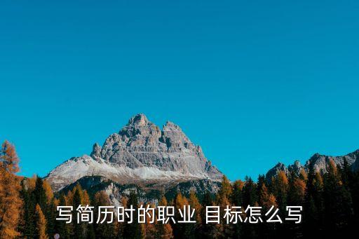 職位目標(biāo),職業(yè)目標(biāo)明確具體又具挑戰(zhàn)性