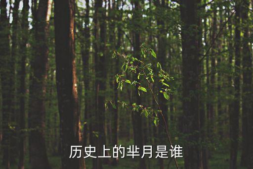 歷史上的羋月,歷史上的宣皇后原籍楚國成為秦惠文王妃子