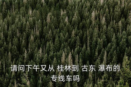 請問下午又從 桂林到 古東 瀑布的專線車嗎