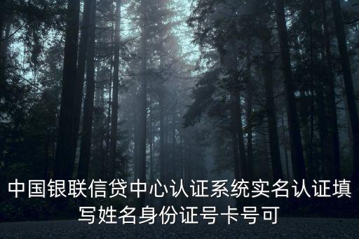 信貸中心，中國(guó)銀聯(lián)信貸中心認(rèn)證系統(tǒng)實(shí)名認(rèn)證填寫姓名身份證號(hào)卡號(hào)可