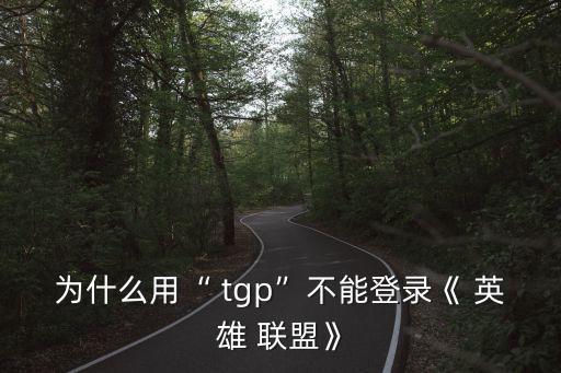 為什么用“ tgp”不能登錄《 英雄 聯盟》