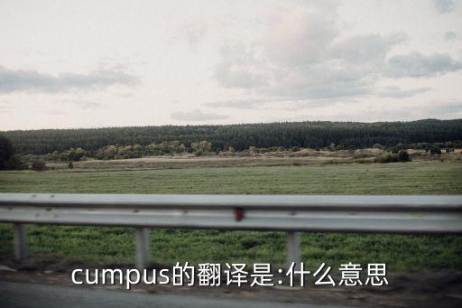 cumpus的翻譯是:什么意思