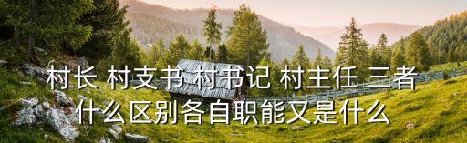 村委書記，村委書記和黨委書記級別是不是一樣