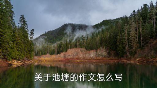 關于池塘的作文怎么寫
