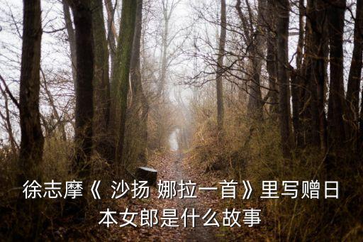 徐志摩《 沙揚 娜拉一首》里寫贈日本女郎是什么故事