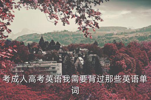 成人高考英語單詞，用記憶術記英語單詞成人高考單詞