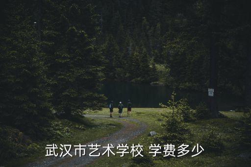 藝校學費一年多少錢,武漢藝術學校學費一個月大概2萬左右