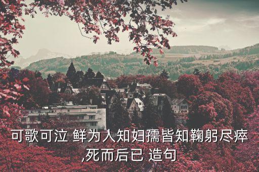 可歌可泣 鮮為人知婦孺皆知鞠躬盡瘁,死而后已 造句