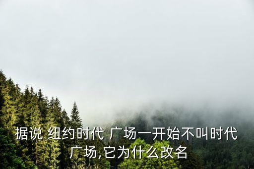 據說 紐約時代 廣場一開始不叫時代 廣場,它為什么改名