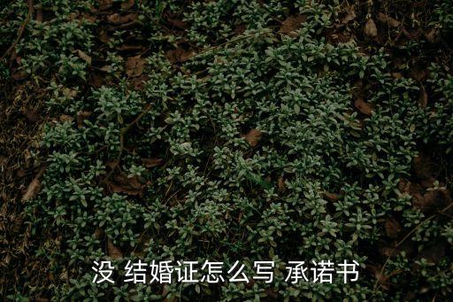 結婚承諾書,婚姻保證書是否有法律效力?