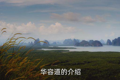  華容道的介紹