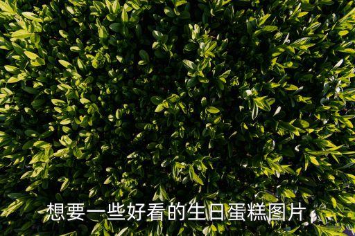 蛋糕圖片，精美生日蛋糕圖片