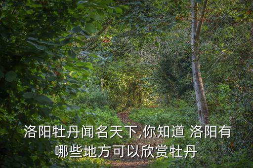 洛陽國花園,洛陽周邊公園可去哪些公園?