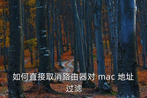 如何直接取消路由器對 mac 地址 過濾