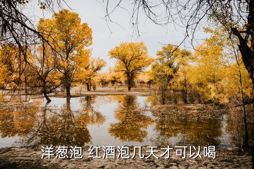  洋蔥泡 紅酒泡幾天才可以喝