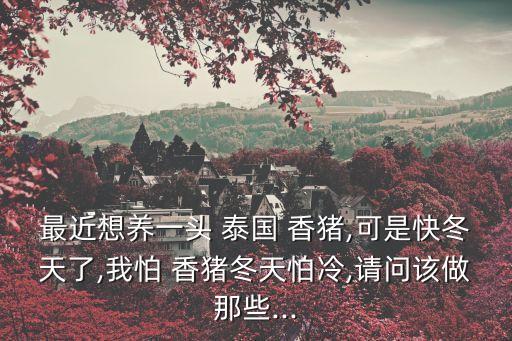 泰國香豬,這些香豬的成長秘訣
