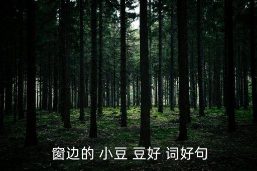  窗邊的 小豆 豆好 詞好句