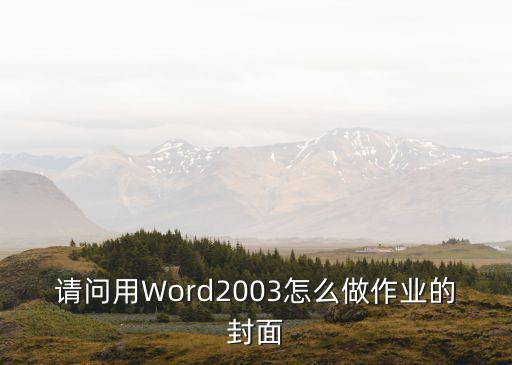 作業封面，請問用Word2003怎么做作業的封面