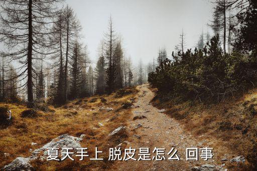  夏天手上 脫皮是怎么 回事