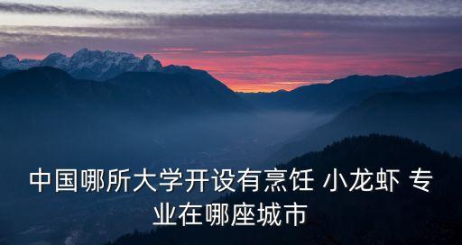 中國哪所大學開設有烹飪 小龍蝦 專業在哪座城市