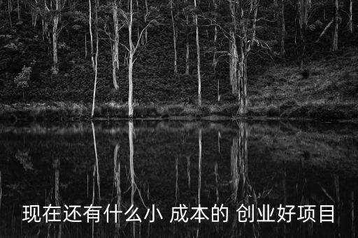 現(xiàn)在還有什么小 成本的 創(chuàng)業(yè)好項目