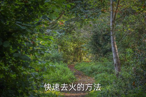 快速去火的方法