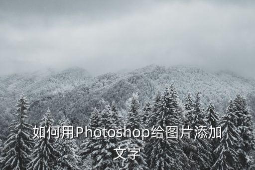 ps加文字，如何在photoshop中加入文字