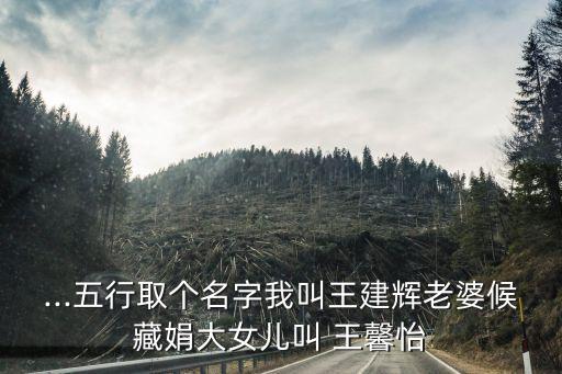 ...五行取個(gè)名字我叫王建輝老婆候藏娟大女兒叫 王馨怡