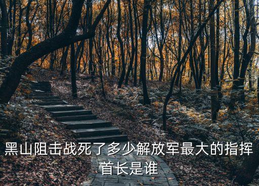 黑山阻擊戰死了多少解放軍最大的指揮首長是誰