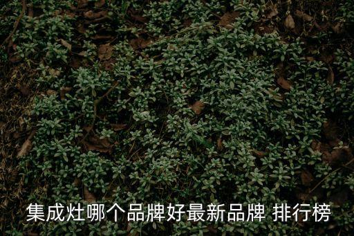  集成灶哪個品牌好最新品牌 排行榜